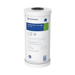 GAC (Granular Activated Carbon)-10" Big Radial Flow Carbon (10" x 4½")